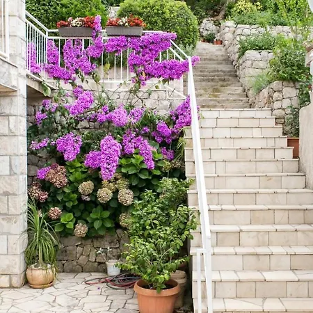 Maria Kolocep - Two Bedroom With Terrace And Garden View Kolocep Island